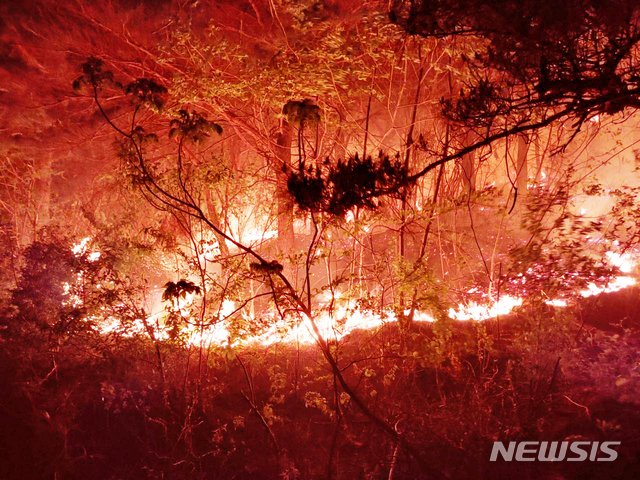 [고성(강원)=뉴시스] 장경일 인턴기자 = 2일 오전 강원 고성군 토성면 도원리에서 시작된 산불이 건조주의보와 강풍주의보가 발효 중인 가운데 산림을 활활 태우고 있다. 화마와 사투를 벌이고 있다. 0시 현재 주택 3채가 소실됐다. 다행히 인명피해는 없었다. 2020.05.02. jgi1988@newsis.com