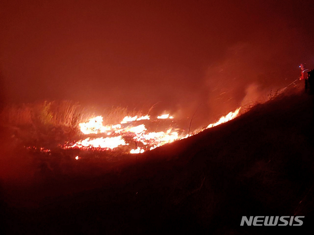 [고성(강원)=뉴시스] 장경일 인턴기자 = 강원 고성군청 산불진화대원이 2일 오전 고성군 토성면 도원리에서 화마와 사투를 벌이고 있다. 0시 현재 주택 3채가 소실됐다. 다행히 인명피해는 없었다. 2020.05.02. jgi1988@newsis.com