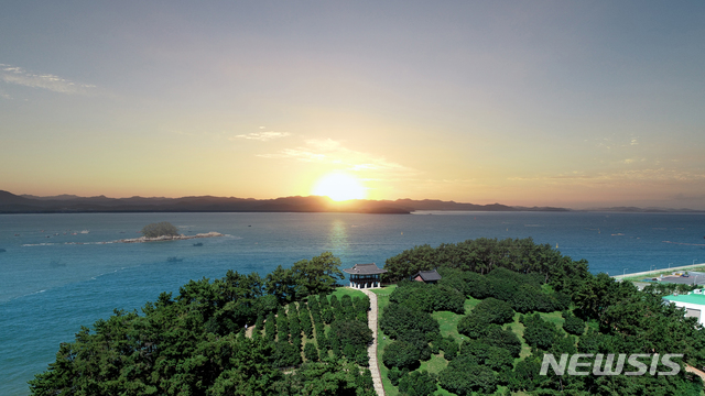 [서천=뉴시스] 충남 서천군 마량리 동백나무숲