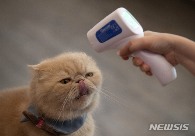 [방콕=AP/뉴시스]뉴시스DB. 2020.05.08.