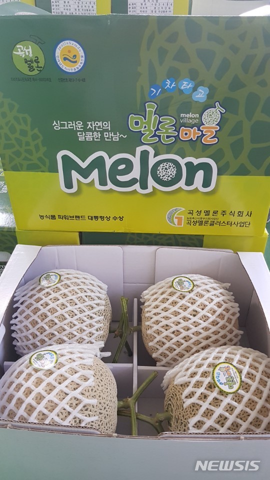 올해 첫 출하 곡성멜론. (사진=곡성군 제공)
