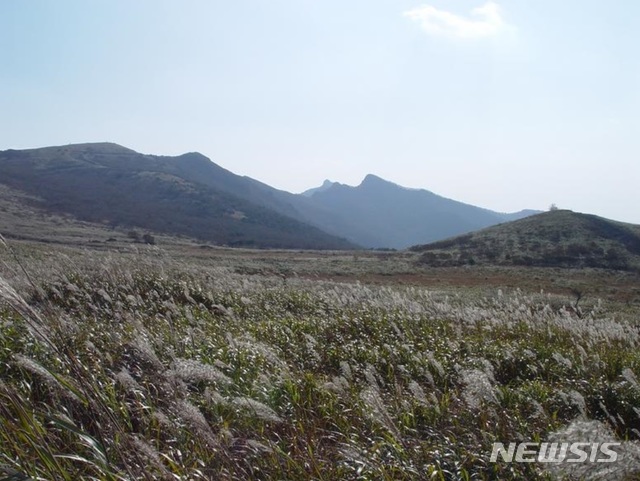 [울산=뉴시스] 박수지 기자 = 영남알프스의 산봉우리 중 '신불산'과 '간월산' 사이에 위치한 간월재 전경. 2020.05.11.(사진=울주군청 제공) photo@newsis.com