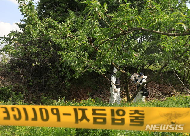 [완주=뉴시스] 김얼 기자 = 부산에 거주하던 20대 여성이 전북 전주 한옥마을 일대에서 실종된지 24일이 지난 12일 전북 완주군 상관면의 한 과수원에서 전북지방경찰청 과학수사대 관계자들이 부산 실종 여성으로 추정되는 시신을 발견하고 현장을 감식하고 있다. 2020.05.12.pmkeul@newsis.com