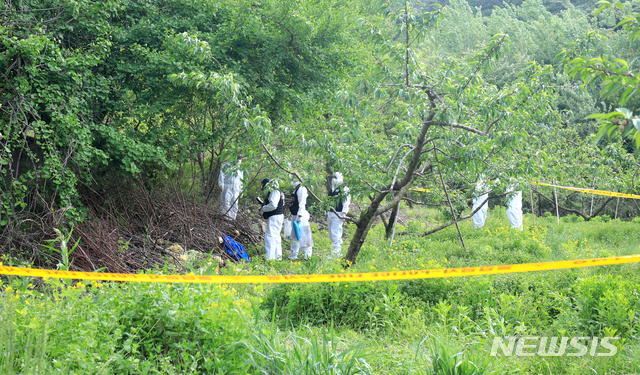 [완주=뉴시스] 김얼 기자 = 부산에 거주하던 20대 여성이 전북 전주 한옥마을 일대에서 실종된지 24일이 지난 12일 전북 완주군 상관면의 한 과수원에서 전북지방경찰청 과학수사대 관계자들이 부산 실종 여성으로 추정되는 시신을 발견하고 현장을 감식하고 있다. 2020.05.12.pmkeul@newsis.com