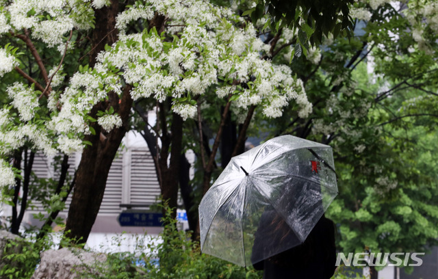 [인천=뉴시스] 이종철 기자 = 비 내리는 15일 오전 인천시 남동구 중앙공원에서 시민이 우산을 쓰고 산책을 하고 있다. 2020.05.15. jc4321@newsis.com