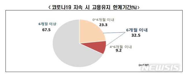 자금조달로 버티는 대기업…코로나 6개월 더가면 "구조조정할 것"