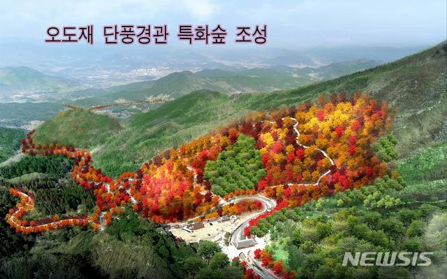 [함양=뉴시스] 함양 오도재 단풍경관 특화 숲 조성계획 조감도.