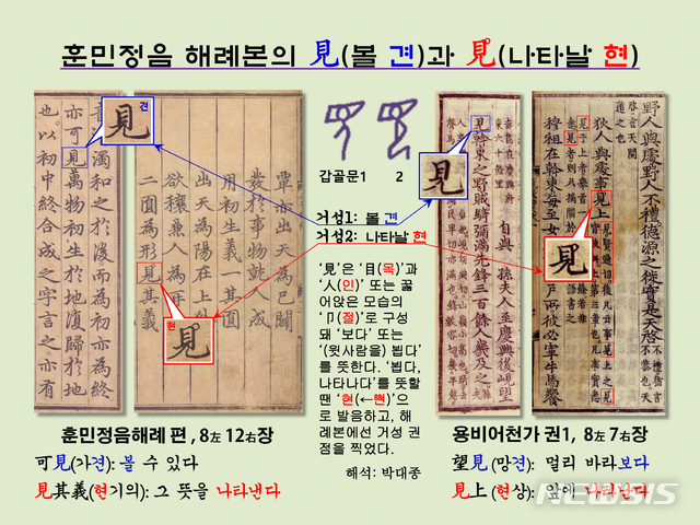 [서울=뉴시스] <사진1> 훈민정음해례 편 8장 ‘可見(가견)’에 보이는 권점 없는 ‘見(볼 견)’과 12장 ‘見其義(현기의)’에 보이는 거성 권점 있는 ‘見(나타날 현)’. 용비어천가의 권점 없는 ‘望見(망견)’과 권점 있는 ‘見上(현상)’은 해례본과 상호 증명된다.