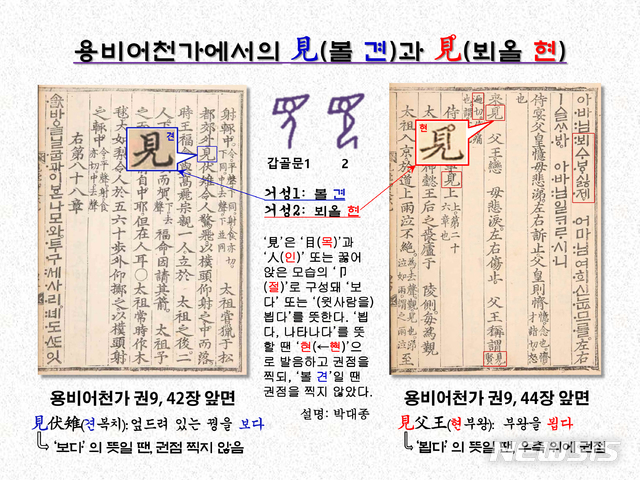 [서울=뉴시스] <사진2> 용비어천가 권9, 42장과 44장에 보이는 권점 없는 ‘見(견)’과 거성 권점 있는 ‘見(현)’. 見伏雉(견복치: 엎드려 있는 꿩을 보다)와 見°父王(현부왕: 부왕을 뵙다).