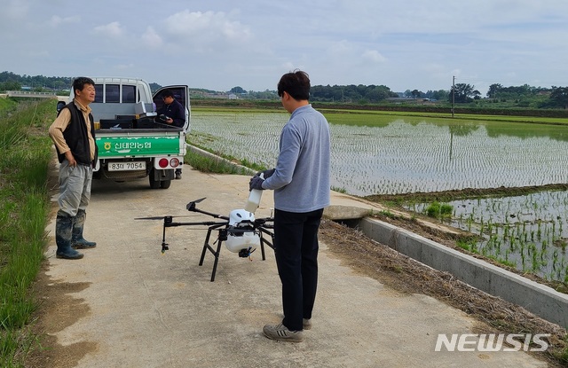 [정읍=뉴시스]윤난슬 기자 = 정읍 신태인농협은 21일 신태인 일원 (10만㎡, 3만249평 규모)에서 농업용 드론으로 올해 처음으로 '중기 제초 드론 방제'를 진행했다고 밝혔다.(사진=전북농협 제공) 