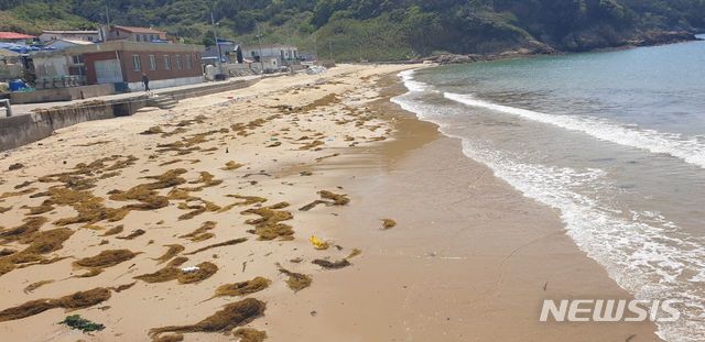 [신안=뉴시스] 배상현기자= 최근 전남도 신안군 흑산면 연안에 괭생이모자반이 유입됐다. 전남도는 22일 피해발생 최소화를 위한 선제적 대응에 나섰다. 2020.05.21 (사진=전남도 제공) praxis@newsis.com