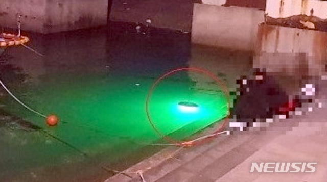 [완도=뉴시스] 실뱀장어 불법 포획 장면. (사진 = 뉴시스DB) 2020.05.27. photo@newsis.com