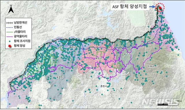 [세종=뉴시스] 접경지역 야생멧돼지 아프리카돼지열병(ASF) 항체검사 현황. (자료=아프리카돼지열병 중앙사고수습본부 제공). 2020.06.03. photo@newsis.com