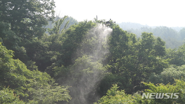 드론 방제 장면 (사진=남부산림청 제공)