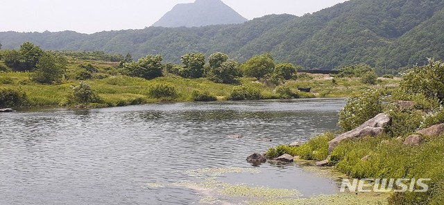 [영동=뉴시스] 조성현 기자 = 영동군 심천면 고당리 호탄교 인근 금강변 (사진 = 영동소방서 제공) 2020.06.06. photo@newsis.com