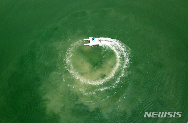 [나주=뉴시스] 폭염주의보가 내려진 가운데 저수지에 발생한 녹조. (사진=뉴시스 DB). photo@newsis.com 