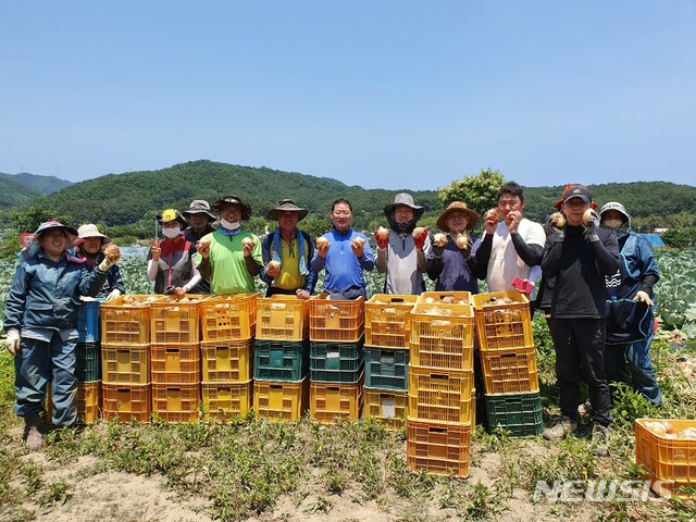 [울산소식] 울산대병원, 어린이 글짓기 대회 개최 등&nbsp; 