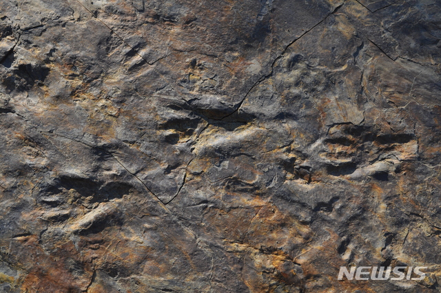[서울=뉴시스]사천 자혜리 두 발로 걷는 원시악어 보행렬(사진=김경수 교수·퀸즐랜드대 제공)2020.06.12 photo@newsis.com 