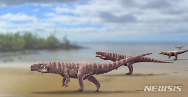 [서울=뉴시스]백악기 이족 보행 원시악어 복원도(사진=김경수 교수·퀸즐랜드대 제공)2020.06.12 photo@newsis.com 