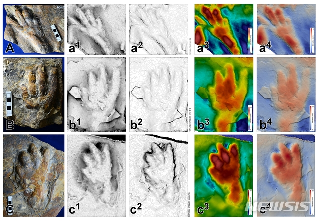 [서울=뉴시스]사천 자혜리 원시악어 발자국 화석 표본과 3D 이미지(사진=김경수 교수·퀸즐랜드대 제공)2020.06.12 photo@newsis.com 