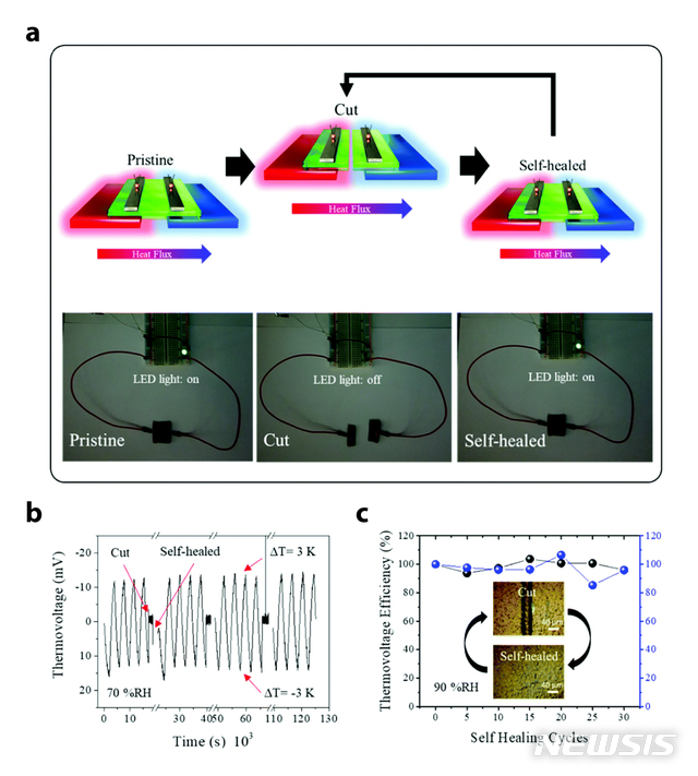 [울산=뉴시스] 구미현 기자 = UNIST 에너지 및 화학공학부의 장성연 교수팀이 국민대 응용화학부 전주원 교수팀과 공동으로 자가 치유 능력과 신축성을 동시에 지닌 '이온성 고분자 열전소재'를 세계 최초로 개발했다고 18일 밝혔다. 연구진이 개발한 열전소재의 자가 치유 성능 연구그림. 2020.06.18. (사진=UNIST 제공)photo@newsis.com
