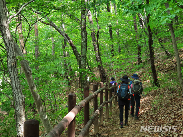 [산청=뉴시스] 산청군 삼장면 지리산 대원사 계곡길.