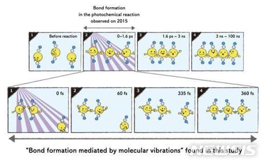 [대전=뉴시스] 지난 2015년 연구에서(위) 화학결합을 통해 분자가 탄생하는 순간 분자의 구조를 세계 최초로 관측한 데 이어 IBS 연구진은 이번 연구(아래)에서 화학반응의 시작부터 끝까지 전 과정에서 원자의 움직임을 실시간 관찰했다. 사진 속 노란색은 금, 회색은 탄소, 파란색은 질소 원자를 나타낸다.