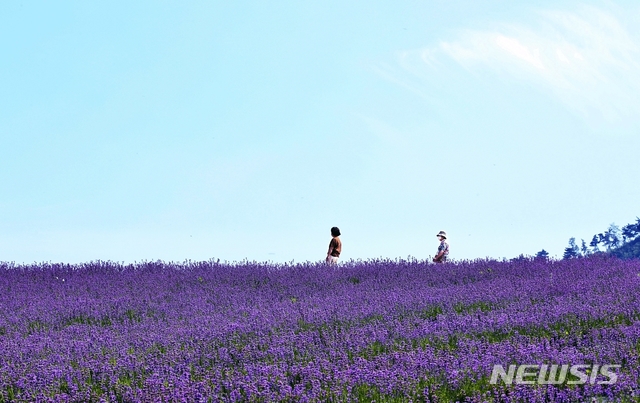 전북 정읍시 구룡동 정읍허브원 일원.