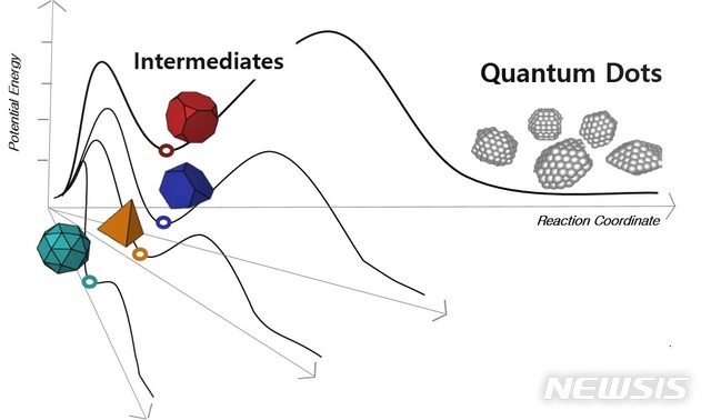 [포항=뉴시스] 강진구 기자 = 포스텍(총장 김무환)은 화학과 김성지 교수, 권용주 박사 연구팀이 연세대학교 김동호 교수, 오주원 박사 연구팀과의 공동 연구를 통해 현재까지 밝혀지지 않았던 양자점 형성 과정의 비밀을 규명했다고 24일 밝혔다.사진은 양자점 성장 중간체로 형성되는 에너지 모식도.(사진=포스텍 제공) 2020.06.24.  photo@newsis.com