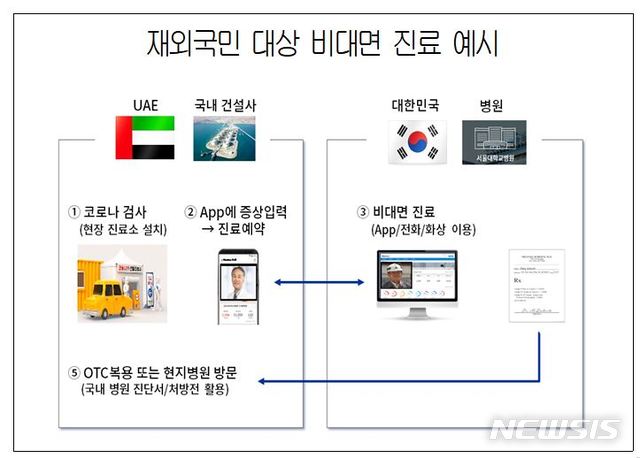 "의사가 랜선 진료"…재외국민 '비대면 진료' 길 열렸다