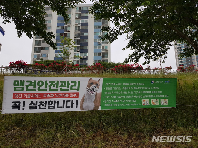 경남 밀양시 맹견소유자의 의무가 강화...홍보 시행