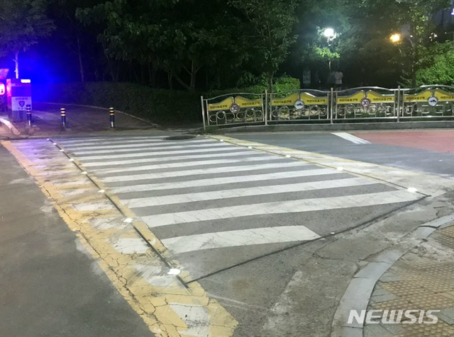 [부산=뉴시스] 부산 남구 유엔기념공원 인근 횡단보도에 시범 설치된 LED(발광다이오드) 유도등. (사진=부산 남구 제공)