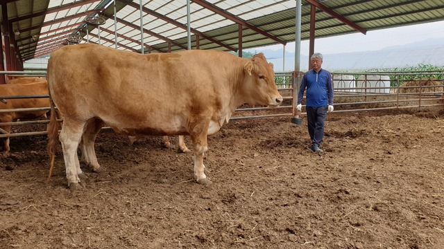 (사진=뉴시스 DB)