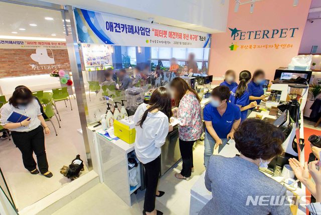 [부산=뉴시스] 부산 북구청은 구포1동 창조문화활력센터 옆에 '피터펫애견카페'를 설치하고 지난 13일부터 운영을 시작했다고 14일 밝혔다. (사진=부산 북구 제공)