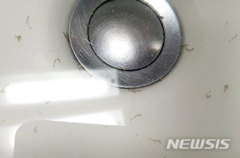 [인천=뉴시스] 함상환 기자 = 인천 서구 지역 수돗물에서 벌레 유충이 발견됐다는 민원이 접수된 가운데 지난 15일 오전 인천시 부평구 갈산동의 한 아파트 수돗물에서 나온 유충이 보이고 있다. 사진은 이 아파트에 거주하는 A씨가 오전 4시께 출근을 위해 수돗물을 틀었는데 유충이 대량으로 나왔며 사진을 제공했다. 2020.07.15. photo@newsis.com