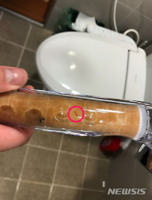 [인천=뉴시스] 이종철 기자 = 인천시 서구, 부평구 수돗물에서 벌레 유충이 발견된 가운데 15일 인천시 강화도 수돗물에서도 유충이 발견되었다. (사진=강화군 지역 맘카페 제공). 2020.07.15.&nbsp; jc4321@newsis.com 