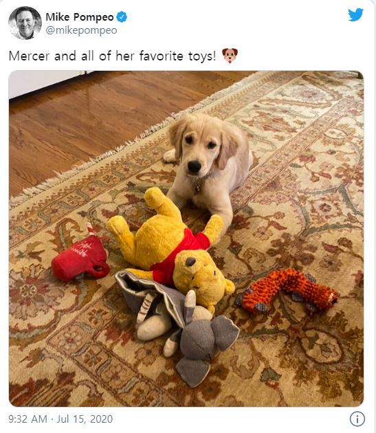 [서울=뉴시스]마이크 폼페이오 미 국무장관이 트위터에 올린 반려견 사진이 중국 정부에 메시지를 보내려는 게 아니냐는 추측을 낳고 있다. 폼페이오의 반려견 머시가 곰돌이 푸 인형 옆에 있는 이 사진은 곰돌이 푸가 시진핑(習近平) 중국 국가주석을 비하하는 별명이기 때문에 관심을 모으고 있다. <사진 출처 : 트위터> 2020.7.16