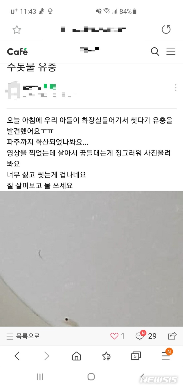 파주지역 인터넷 커뮤니티에 올라온 유충 발견 관련 글. (사진=인터넷 커뮤니티 갈무리) 