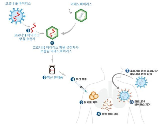 [서울=뉴시스] 사진: 식약처 제공