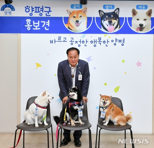 정동균 양평군수 '곰탱이여우견' 세마리 홍보견 위촉.