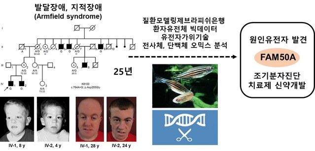 지적장애 원인유전자 발견했다…"치료제 개발에 활용"
