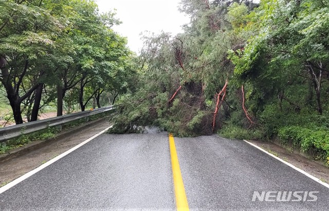 최고 200㎜…충주 전역 밤새 천둥·번개 동반 물폭탄