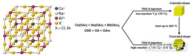 [포항=뉴시스] 강진구 기자 = 포스텍(총장 김무환)은 화학과 김성지 교수, 이원석 박사, 통합과정 최두원 씨 연구팀이 납 성분은 없지만 효율은 높은 비독성 페로브스카이트 나노 광학 소재를 국내 최초로 개발했다고 30일 밝혔다.사진은 육면체 또는 육팔면체 형태로 나노입자의 형태를 제어하는 모식도.(사진=포스텍 제공) 2020.07.30. photo@newsis.com