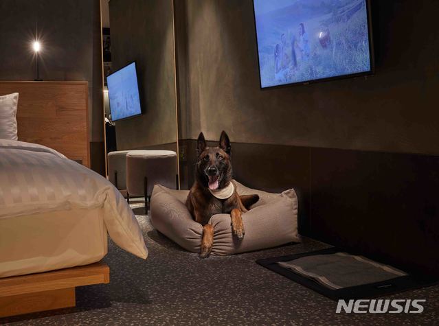 [서울=뉴시스]소노펫클럽&리조트, 8월1일부터 대형견 투숙&nbsp; 