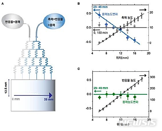 [대전=뉴시스] 촉매 농도 기울기를 가진 미세유체칩과 용매 이동. 