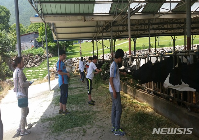 경남 양산시가 코로나 블루 농촌교육농장을 운영한다. 사진은 원동면 내화마을의 내화체험목장.