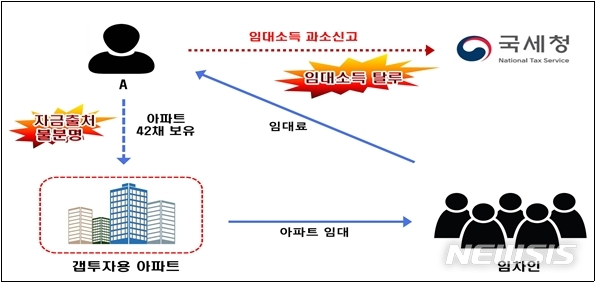 [세종=뉴시스] 국세청 세무 조사 대상에 선정된 40대 미국인 A씨의 사례. (자료=국세청 제공) 