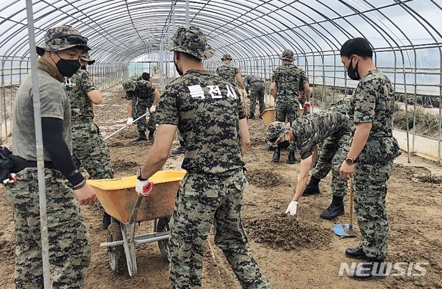 [증평=뉴시스]강신욱 기자 = 13공수여단 장병들이 집중호우로 수해를 당한 충북 증평군 증평읍 농가에서 복구 작업을 하고 있다. (사진=증평군 제공) 2020.08.03. photo@newsis.com 