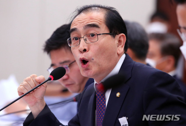 [서울=뉴시스] 장세영 기자 = 태영호 미래통합당 의원이 3일 서울 여의도 국회에서 열린 외교통일위원회 제4차 전체회의에서 '대북전단 금지법'에 대해 여당 의원들에게 질의를 하고 있다. 2020.08.03. photothink@newsis.com