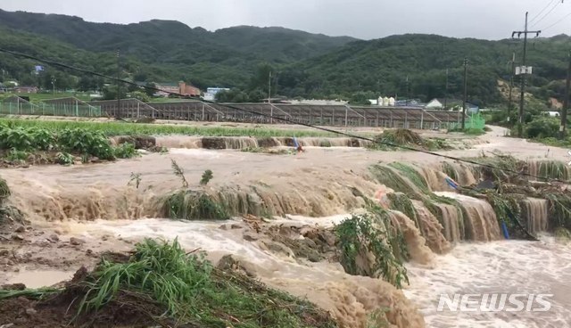 [철원=뉴시스] 김태겸 기자 = 지난 4일 강원도 철원군에 닷새 동안 최대 670㎜의 기록적인 폭우가 쏟아진 가운데 폭우로 인한 물줄기가 철원군 육단리 농수로가 주위 농경지로 범람하고 있다. (사진=철원군청 제공) 2020.08.05.&nbsp;&nbsp; photo@newsis.com